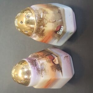 Vintage Made in Japan Handpainted Salt and Pepper Shakers
